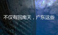 不仅有回南天，广东这些地方还要下大雨！接下来气温……